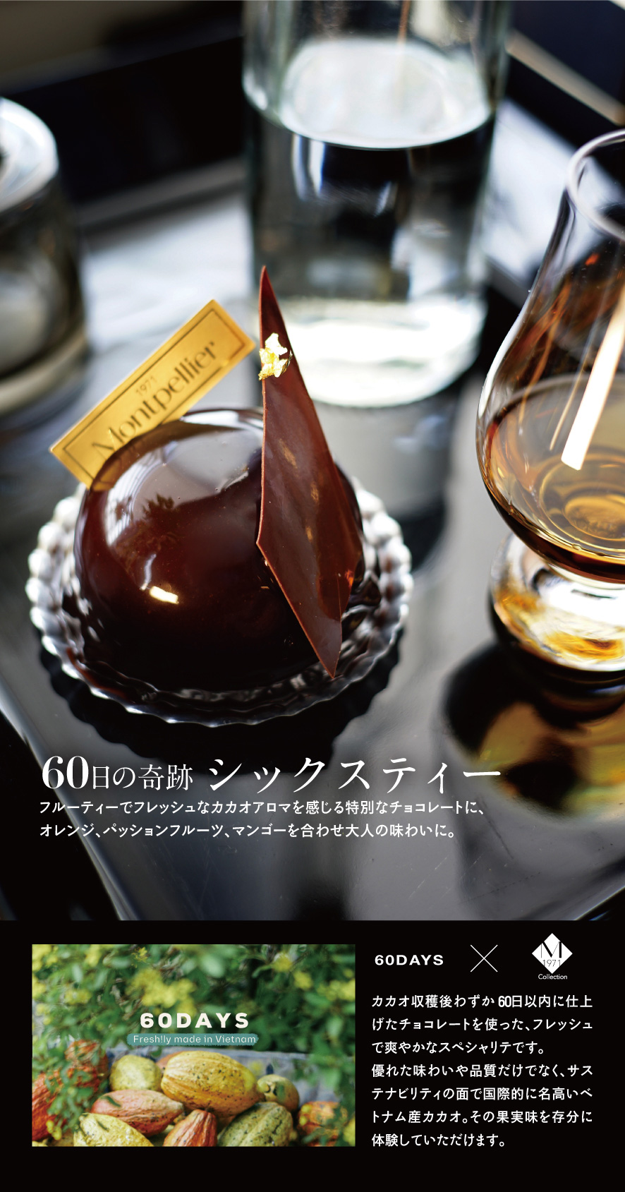 ベトナム産の希少なチョコレートを使用したムース「60(シックスティー)」
